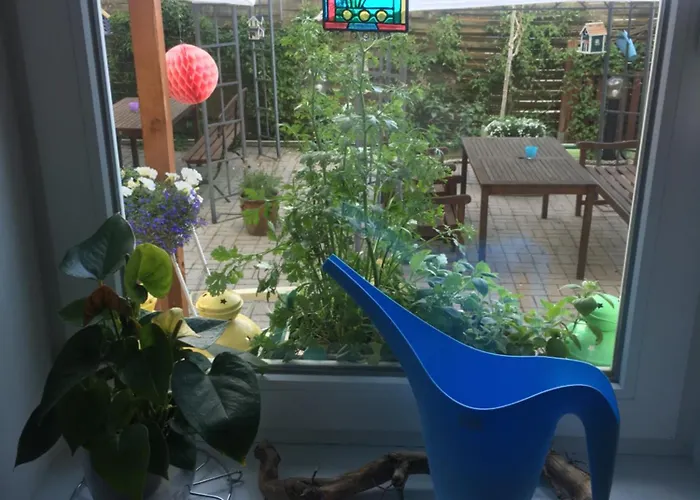 Alojamento de Acomodação e Pequeno-almoço Patio 3*